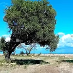 홈스테이 La Segreta Oasi Relax 폴리나노 아마레