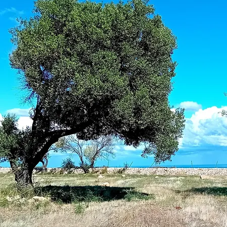 Kwatera prywatna La Segreta Oasi Relax Polignano a Mare