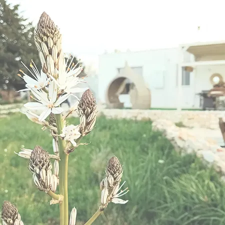 La Segreta Oasi Relax *
