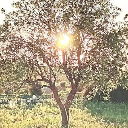 La Segreta Oasi Relax