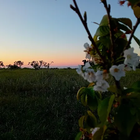 La Segreta Oasi Relax Kwatera prywatna *
