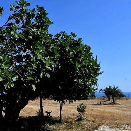 La Segreta Oasi Relax Polignano a Mare