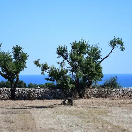 La Segreta Oasi Relax Polignano a Mare